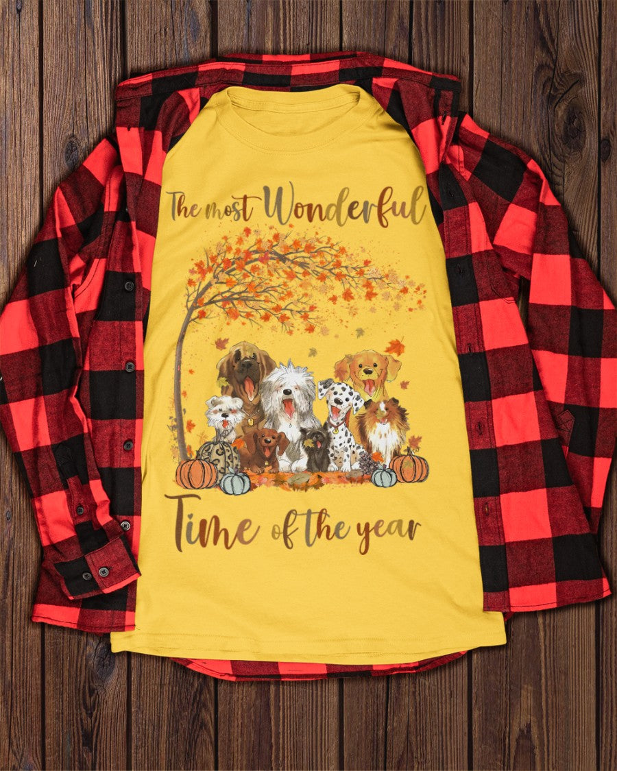 The Most Wonderful Time Of The Year T-Shirt